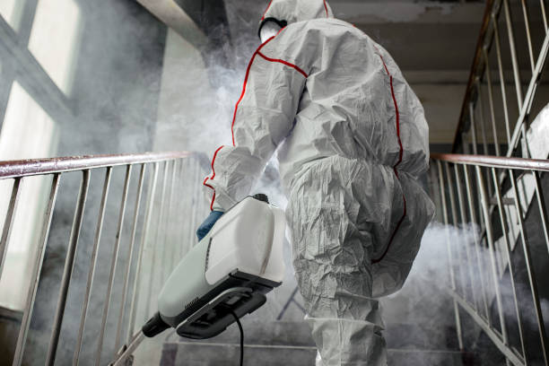 Mold Remediation for Rental Properties in Glenmont, MD